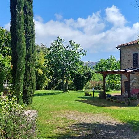 Chianti - Lovely Cottage With Parking & Garden! Castelnuovo Berardenga Dış mekan fotoğraf