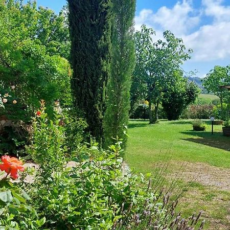 Chianti - Lovely Cottage With Parking & Garden! Castelnuovo Berardenga Dış mekan fotoğraf